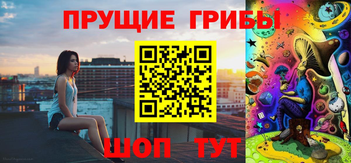 Псилоцибиновые грибы Psilocybine cubensis Люберцы
