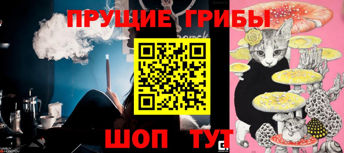 Люберцы  Псилоцибиновые грибы прущие грибы  наркота  Вход с VPN 