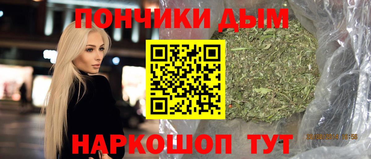 Каннабис планчик  Вход с VPN  Люберцы  Канабис сатива 